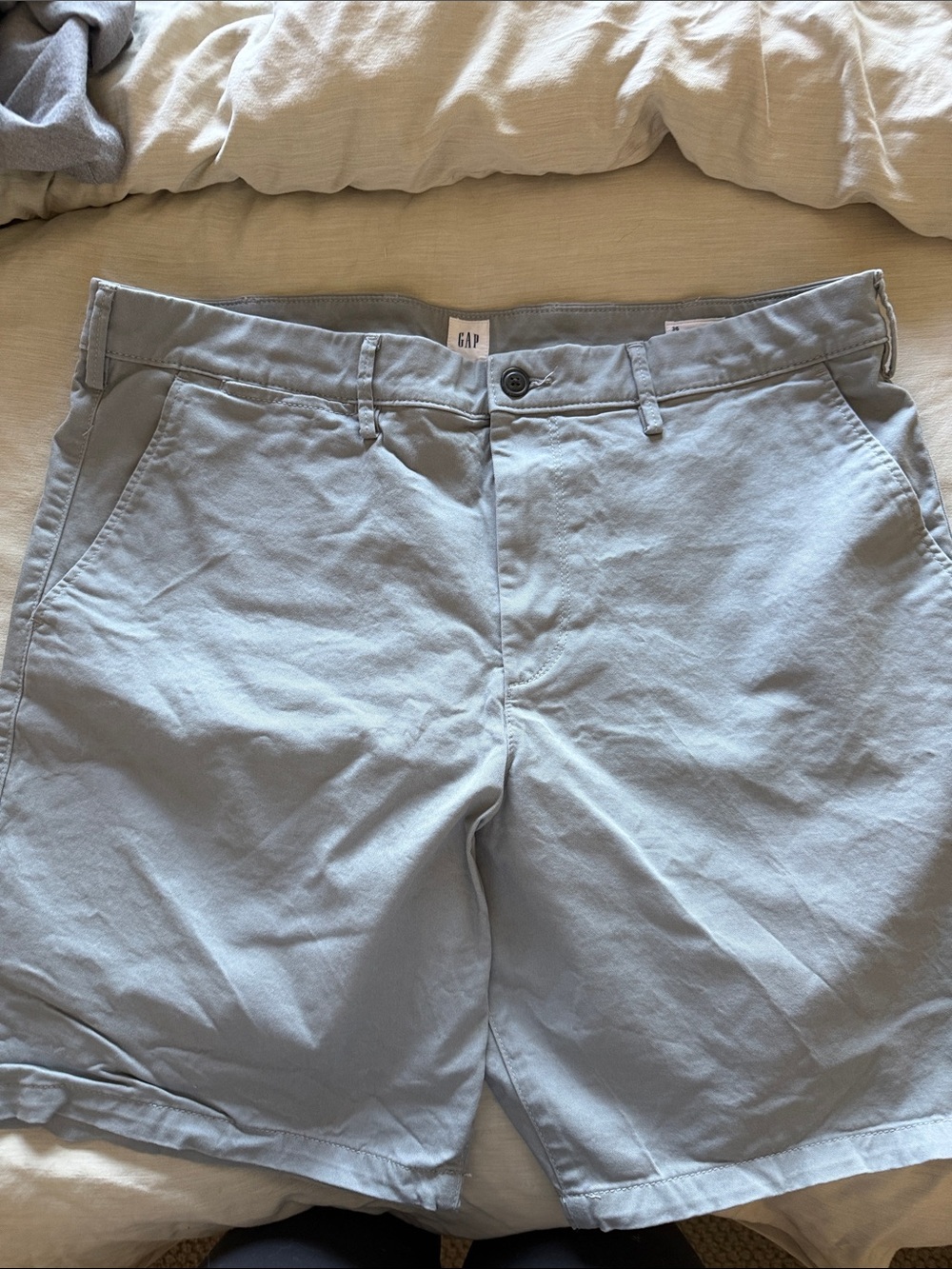 GAP Men's Pale Blue Cotton Flat-Front Chino Shorts